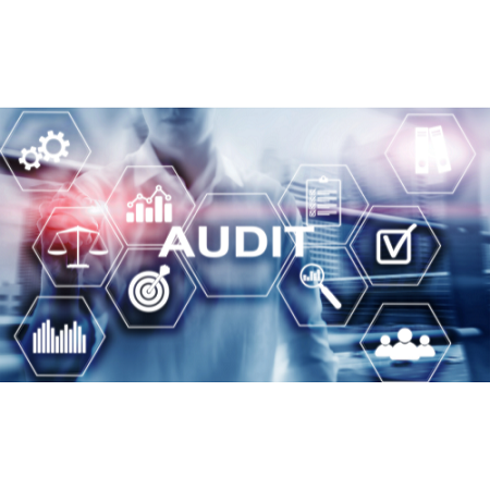 professional Auditing Website